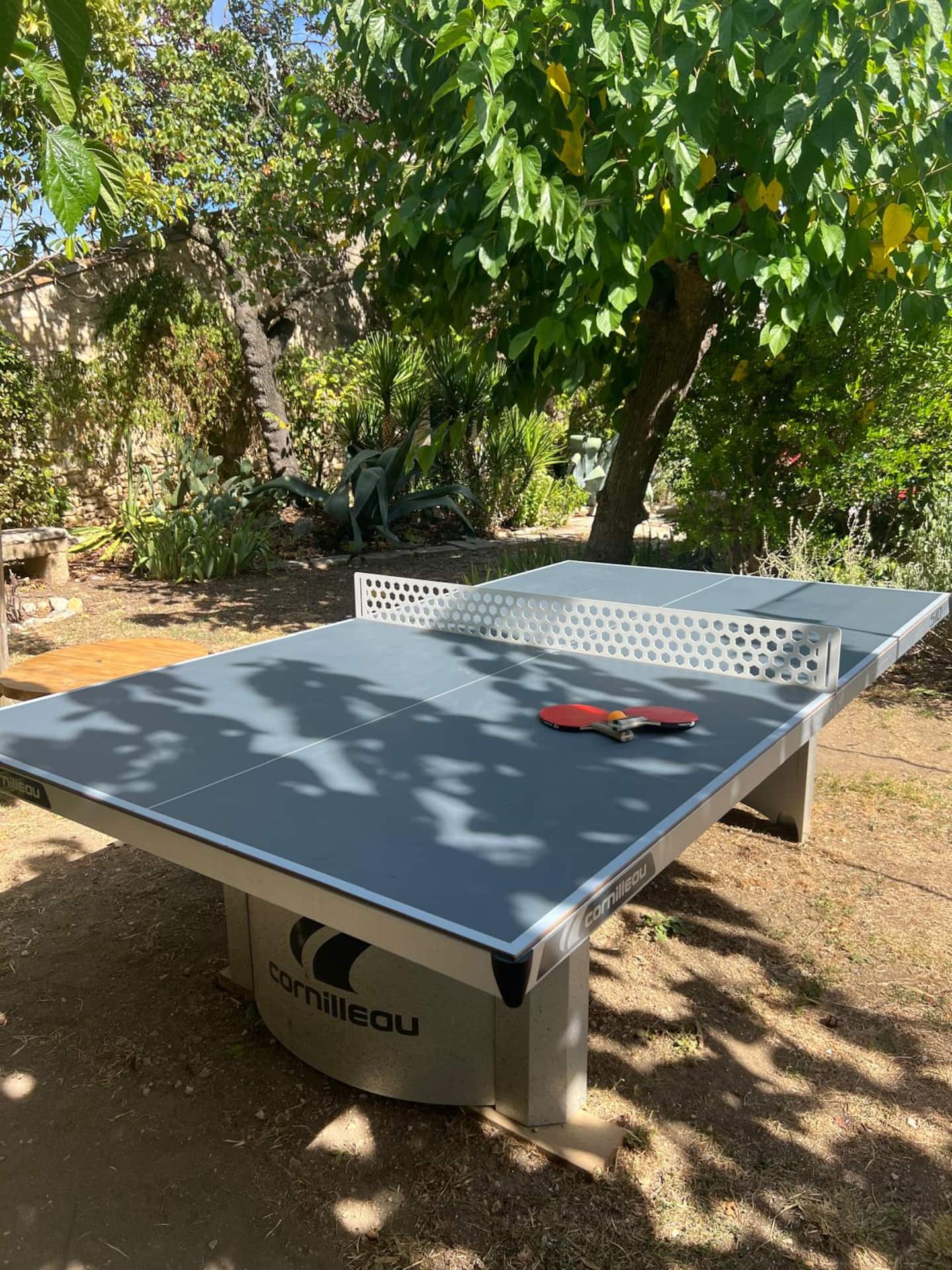 Table de ping-pong à l'ombre d'un arbre