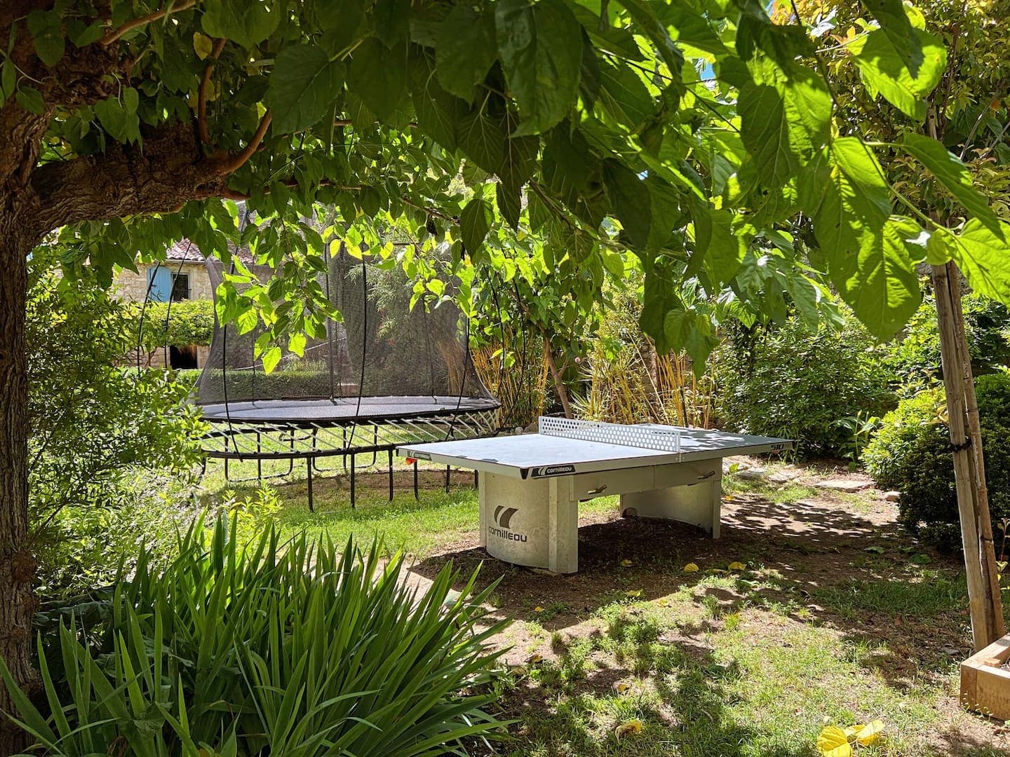Le trampoline au fond du jardin