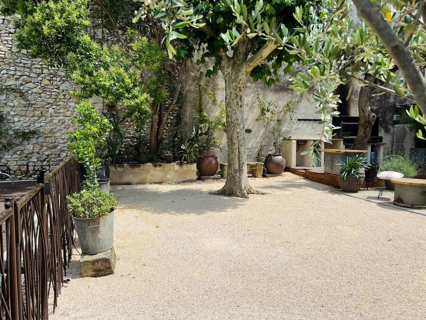 Le grand arbre au milieu de la cour