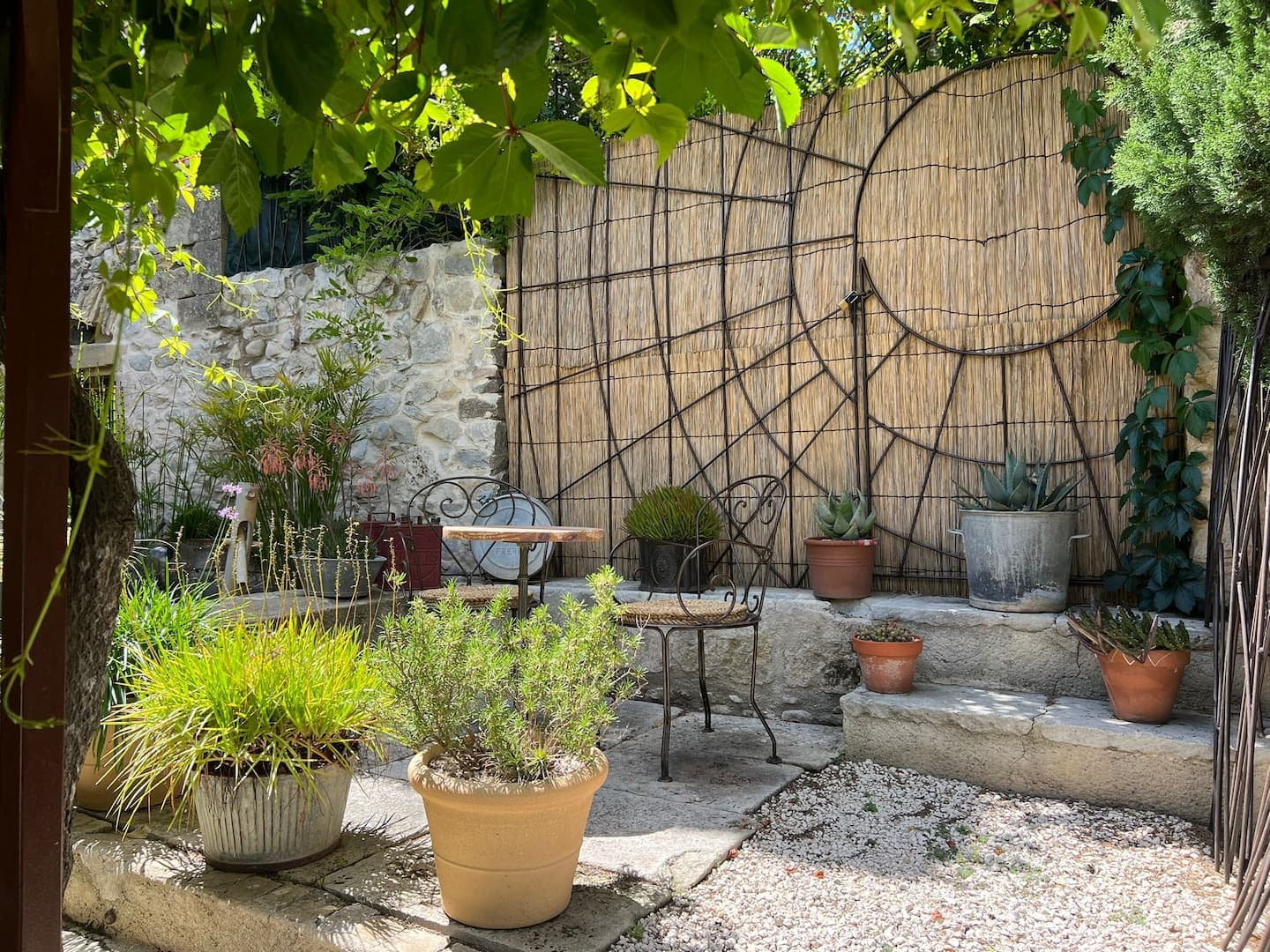 Pots et plantes contre le mur de pierre de la cour